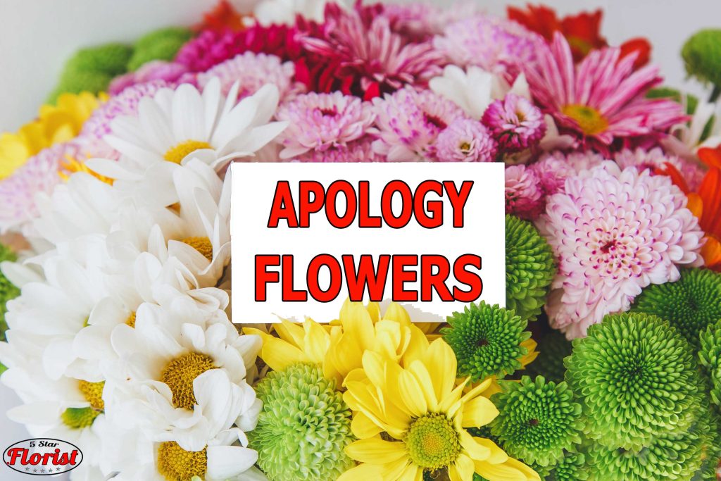 apology flowers Edmonton