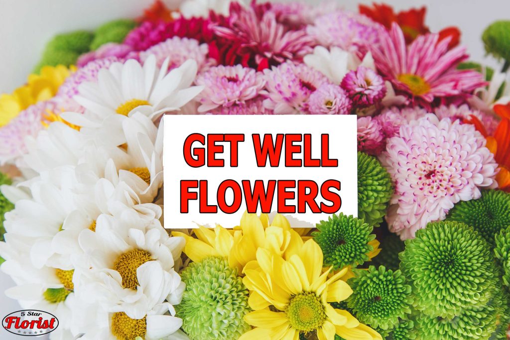 get well flowers Edmonton