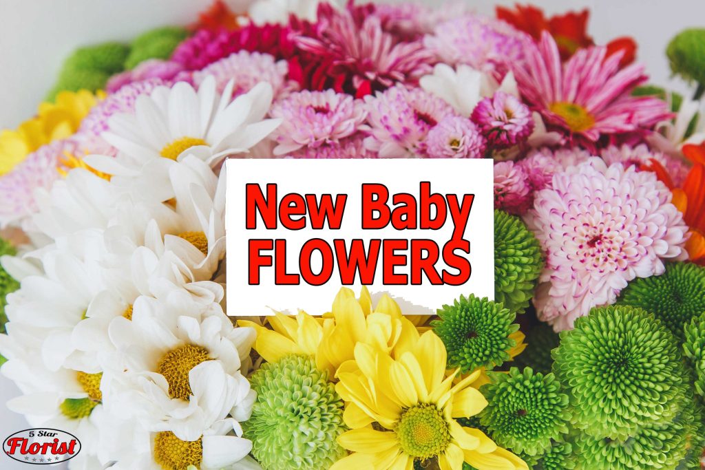 new baby flowers Edmonton