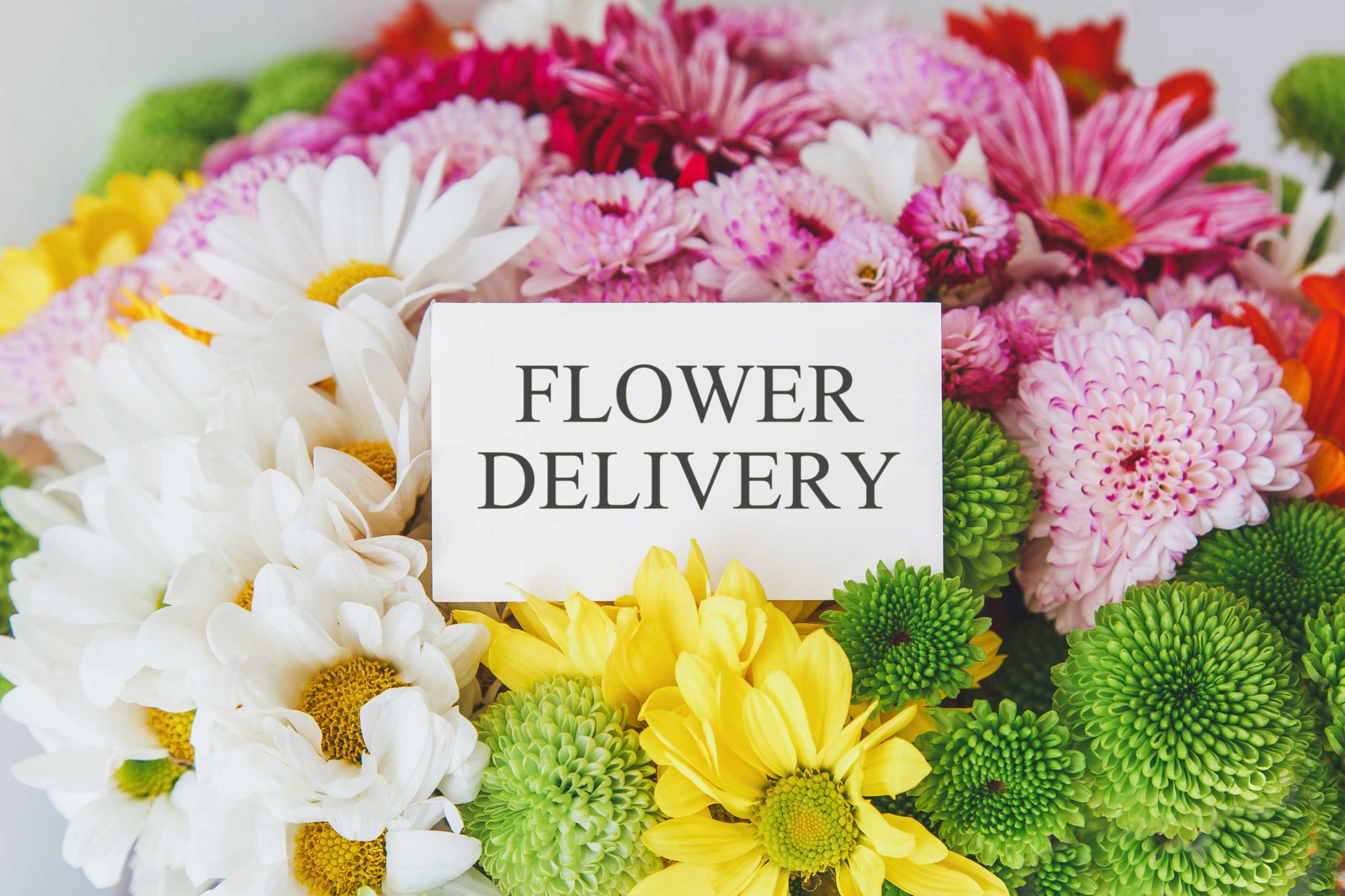 same-day-flower-delivery- Edmonton